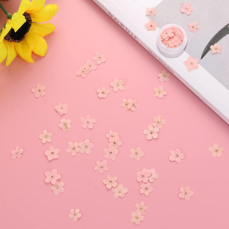 DREMISI 50Pcs Forget Me Not Dried Flowers Don't Forget Me Dried Flowers Natural Dried Pressed Flowers with Forceps for Resin Jewelry Making Candle Nail Art Flower Ornaments Paper Making Supplies, Pink - Image 3